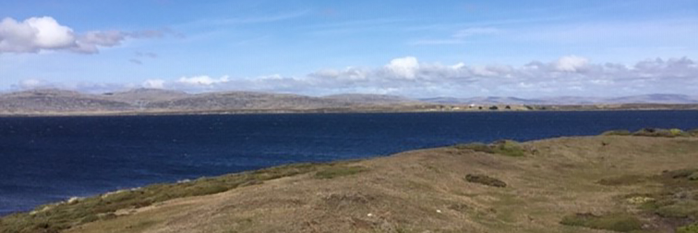 Greenpatch, East Falklands